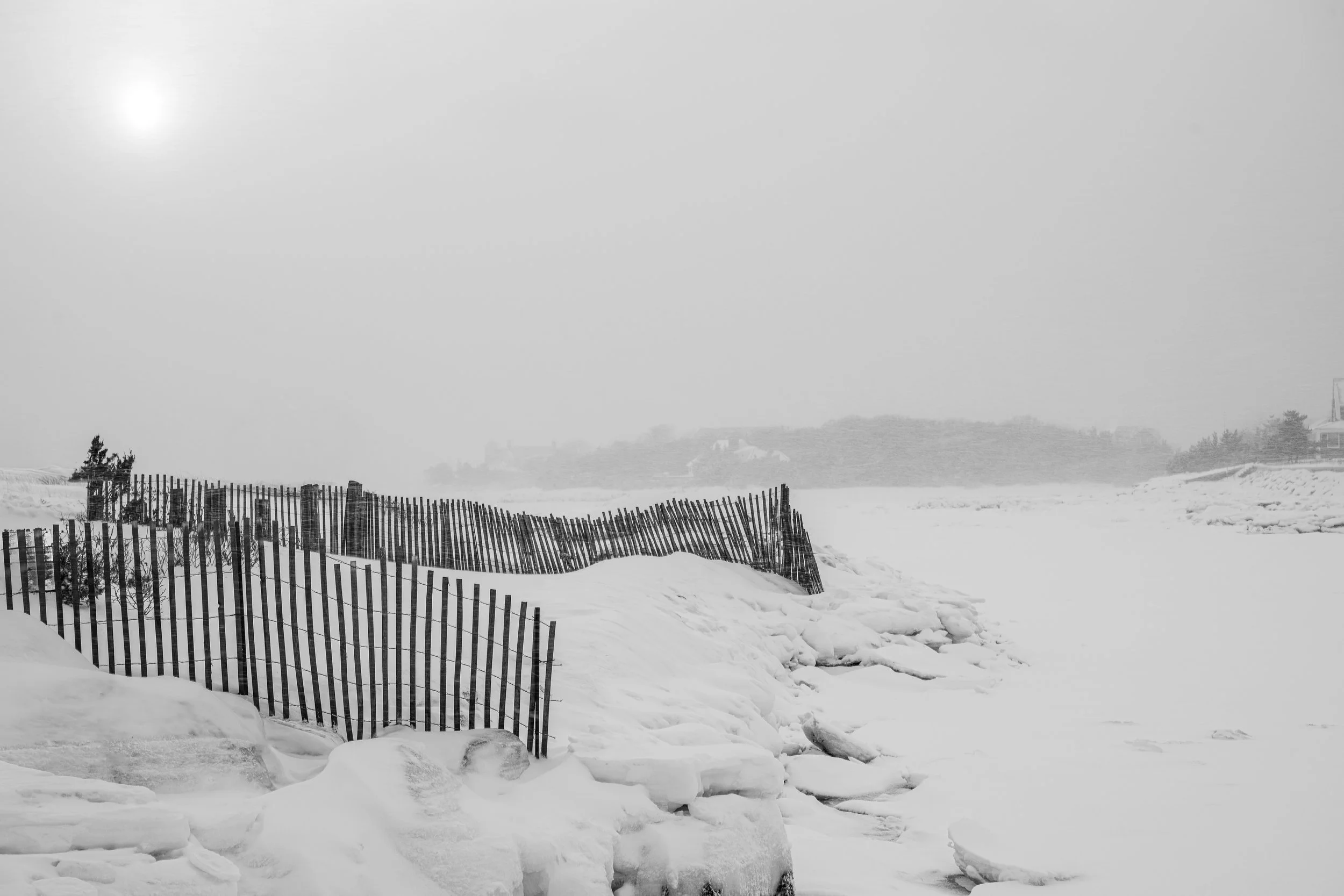 BARRON - For Now - Black - White