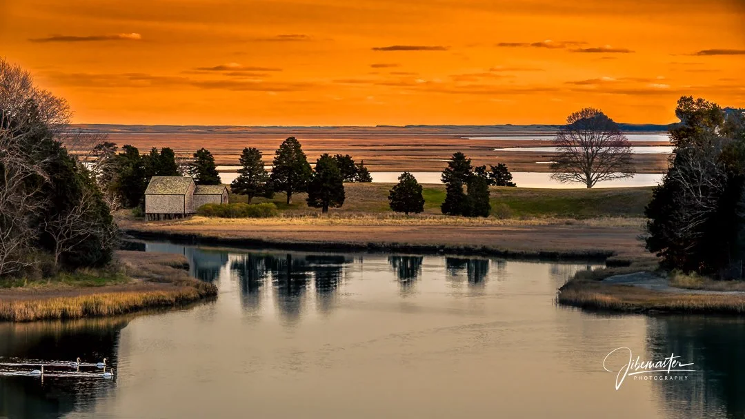 Salt Pond - Evening for Swans