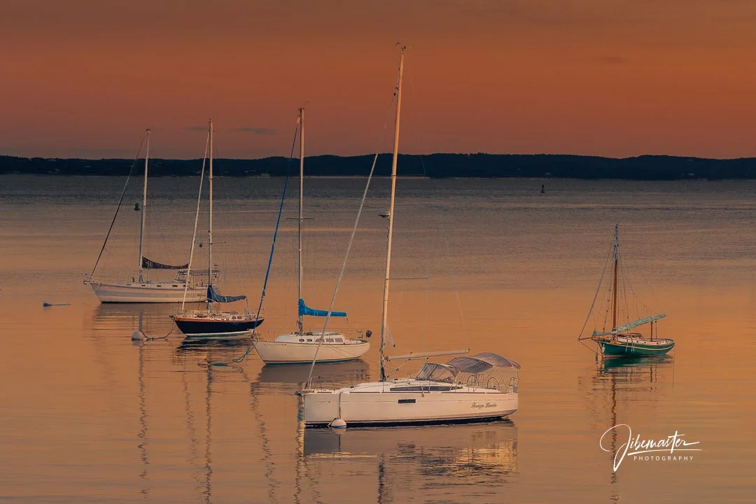 Harbor of Contrasts
