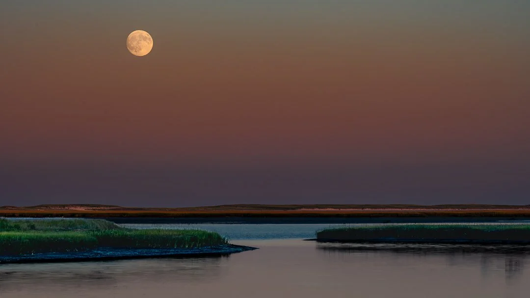 JMP Website - Salt Pond Moon Rise-5.jpg