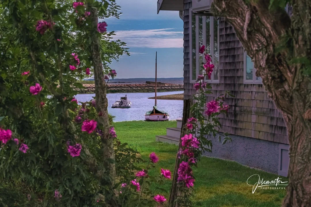 Harbor Peek