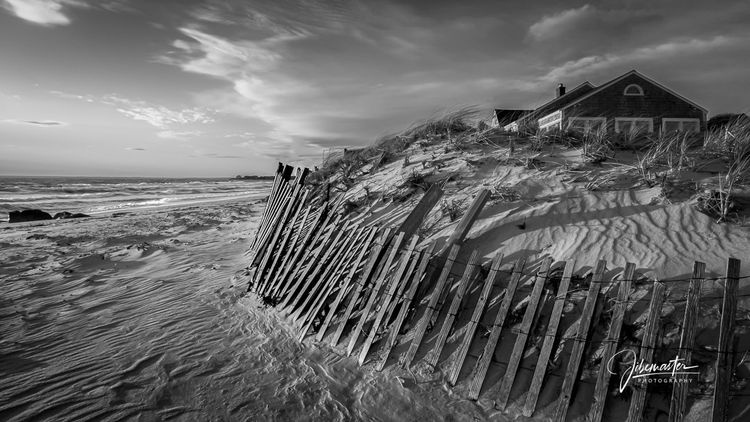 Windswept - B & W