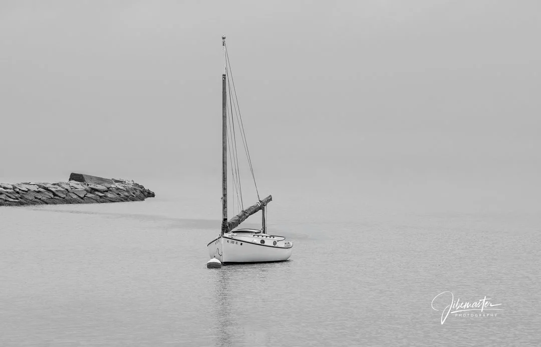 Alone in the Gray