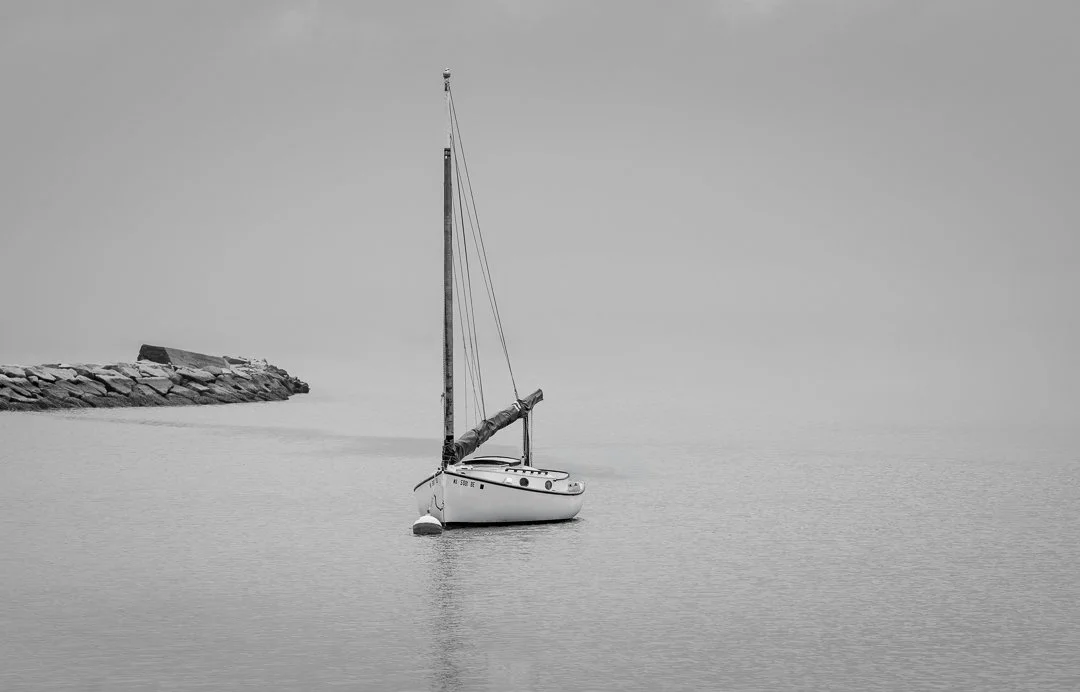 Alone in the Gray