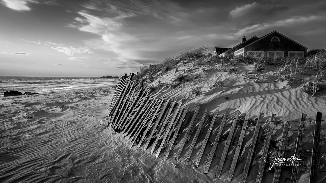 Windswept - B & W