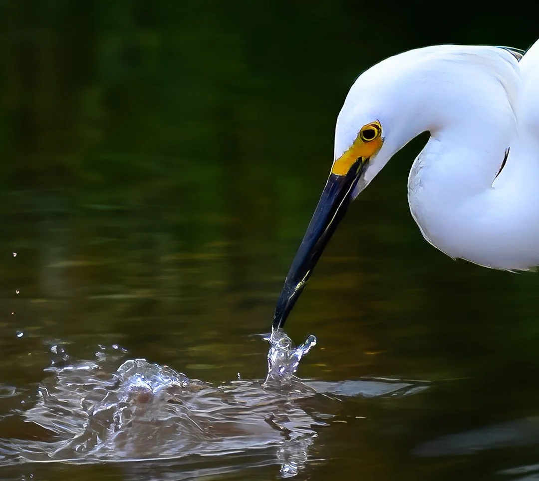Fishin'
