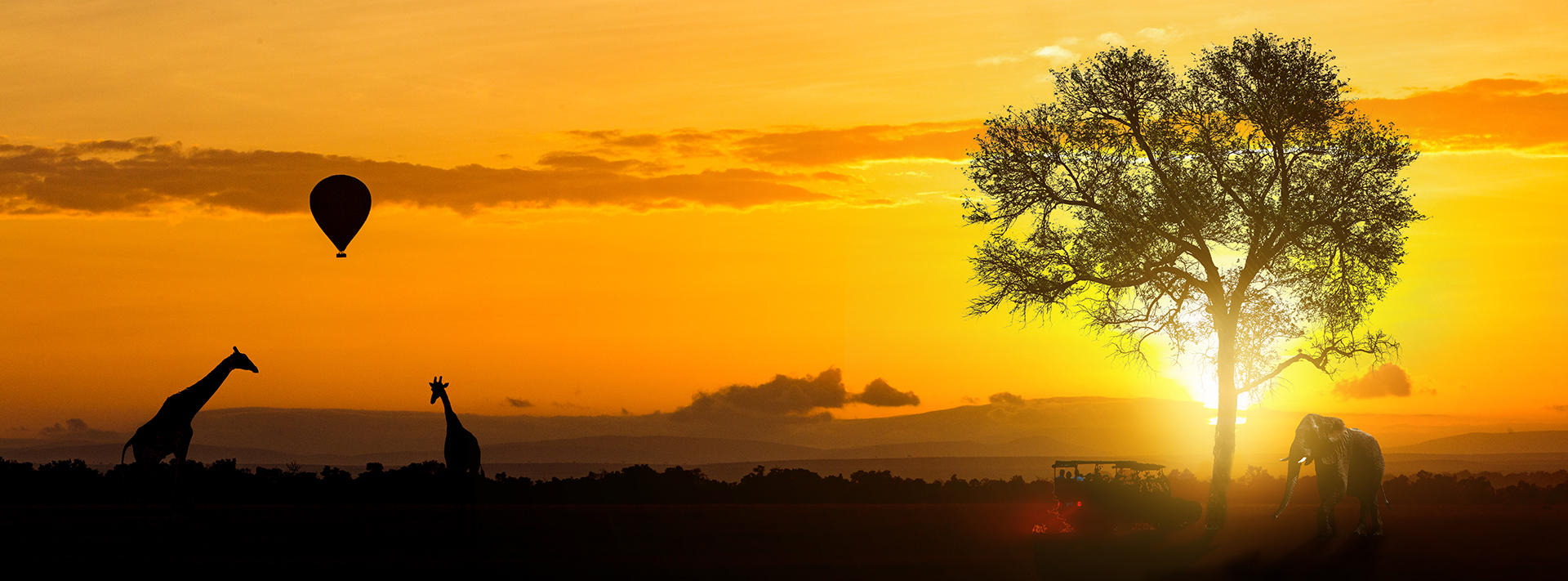 African Safari Adventure Header.jpg