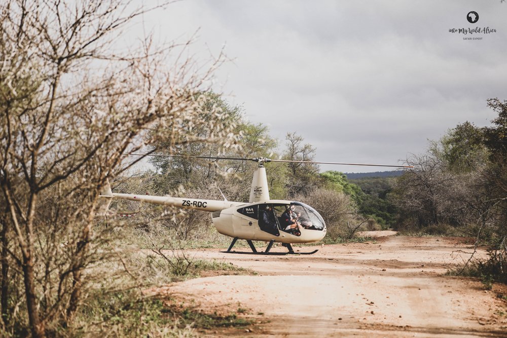 HELICO 1.jpg