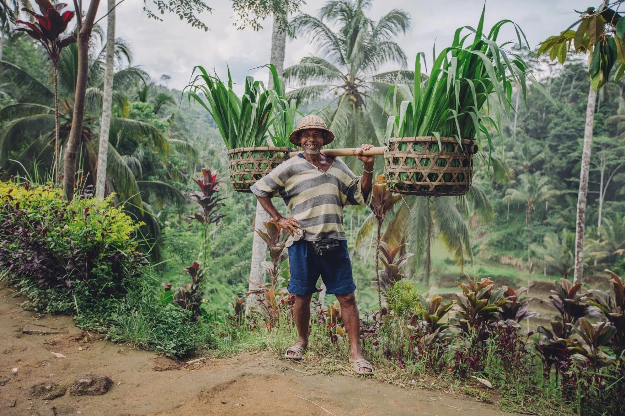 A man wearing a straw hat, striped shirt, shorts, and sandals smiling while standing in a lush green tropical landscape with tall palm trees and various plants, carrying baskets of green plants on a bamboo pole across his shoulders.