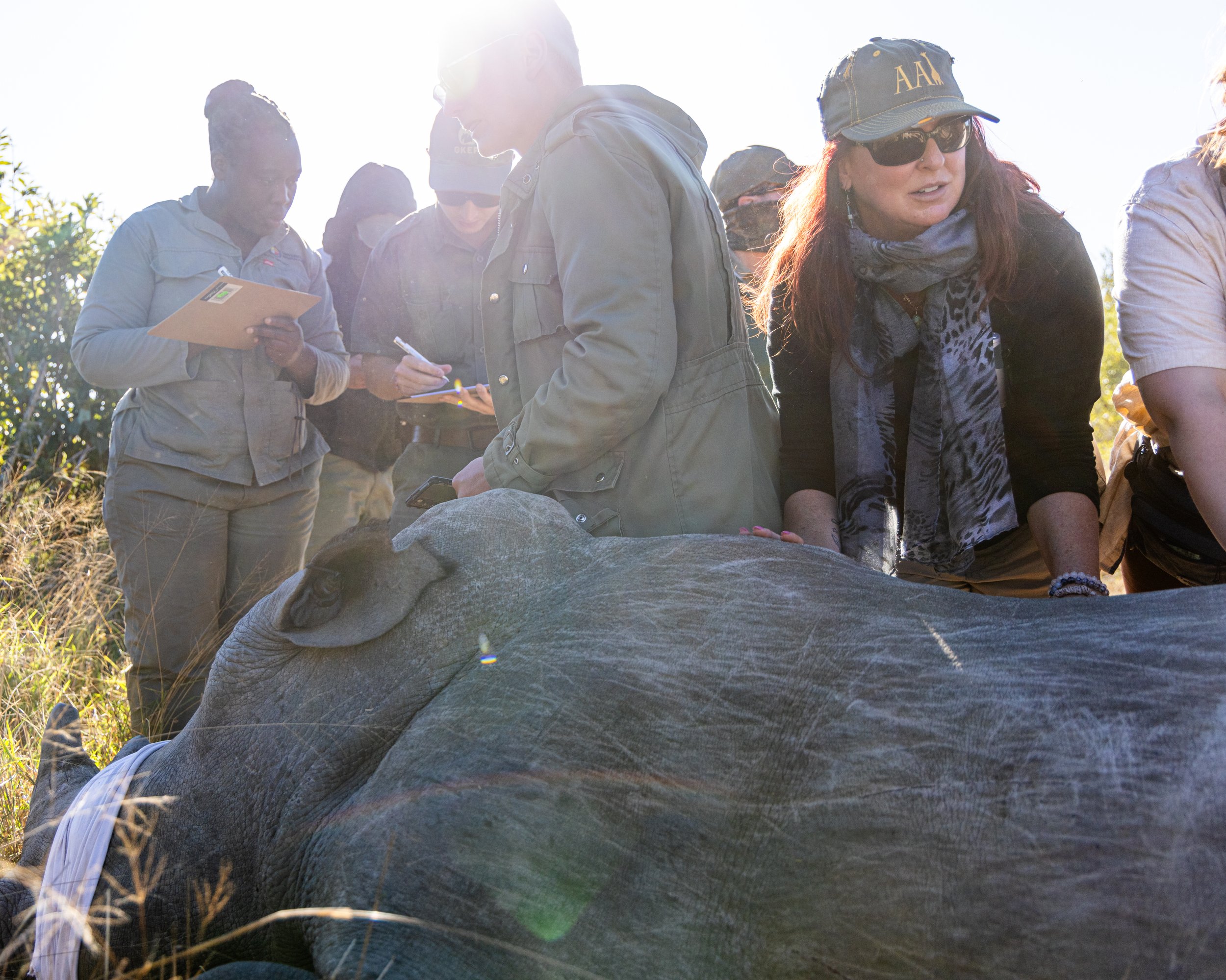 Group of people gathered around, focusing on a lying elephant in a grassy outdoor setting during daytime.