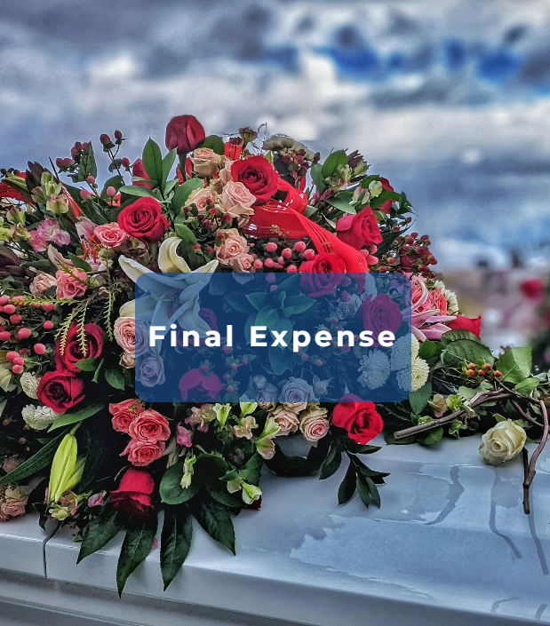 Screenshot 2026-02-12 103837.png