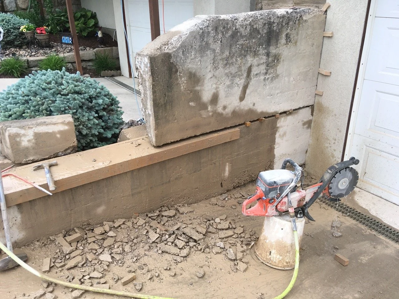 IMG_0004 2 Large.jpeg