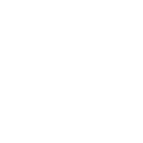 SmallBug-White.png