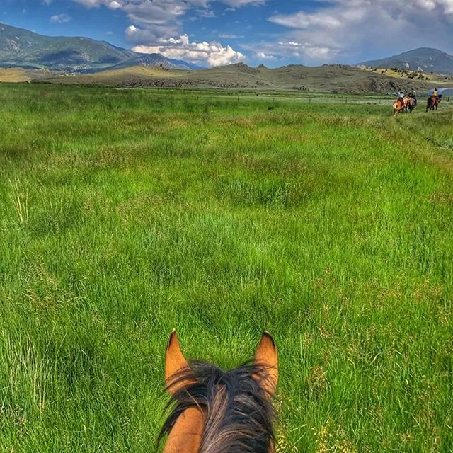 I love the start to a new month. It always brings fresh starts, new opportunities, and &ldquo;better days&rdquo; as my dad would say. August brings with it lush fields of grass, haying season, late summer nights spent in the field, and the anticipati
