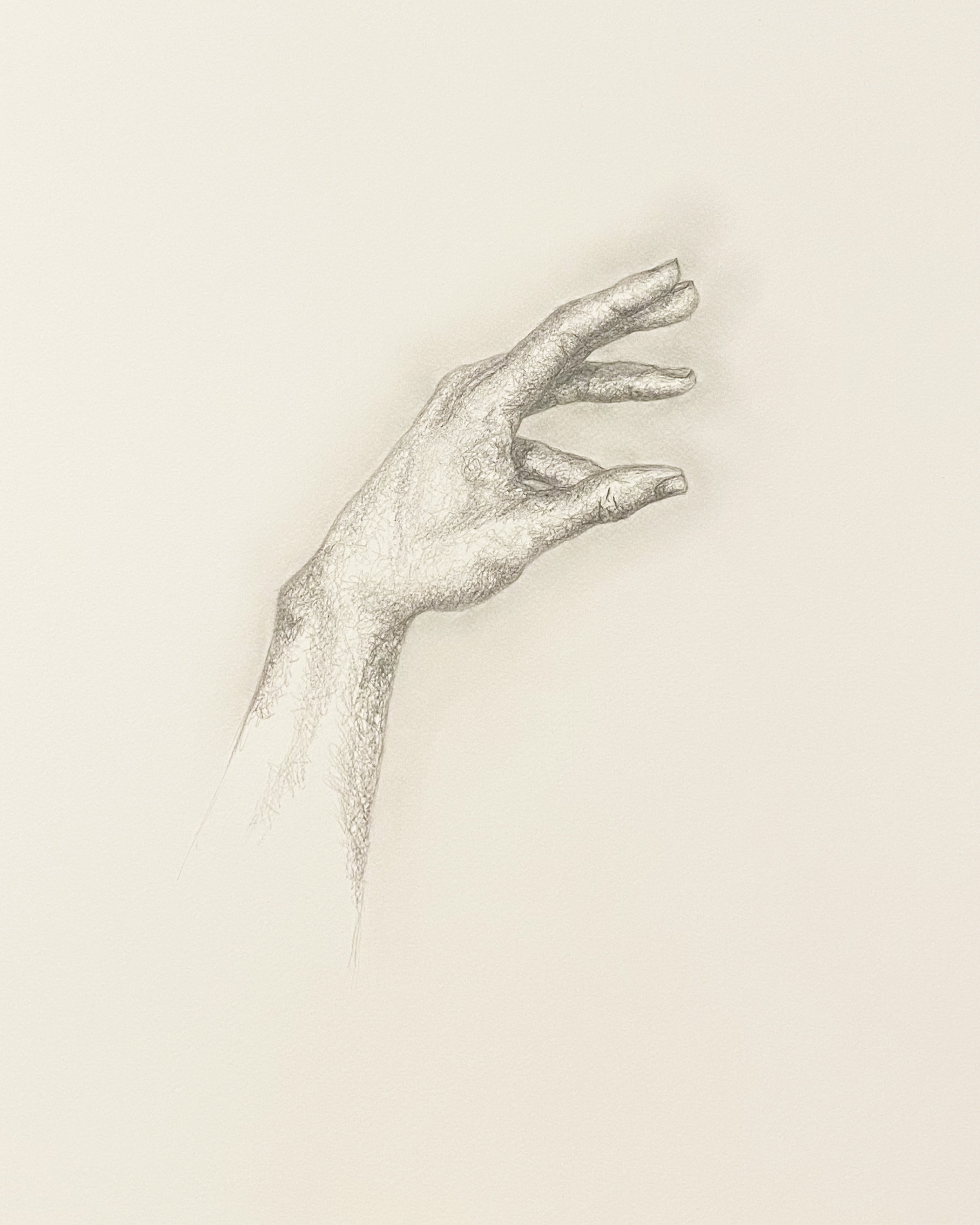 Hand for web.jpg