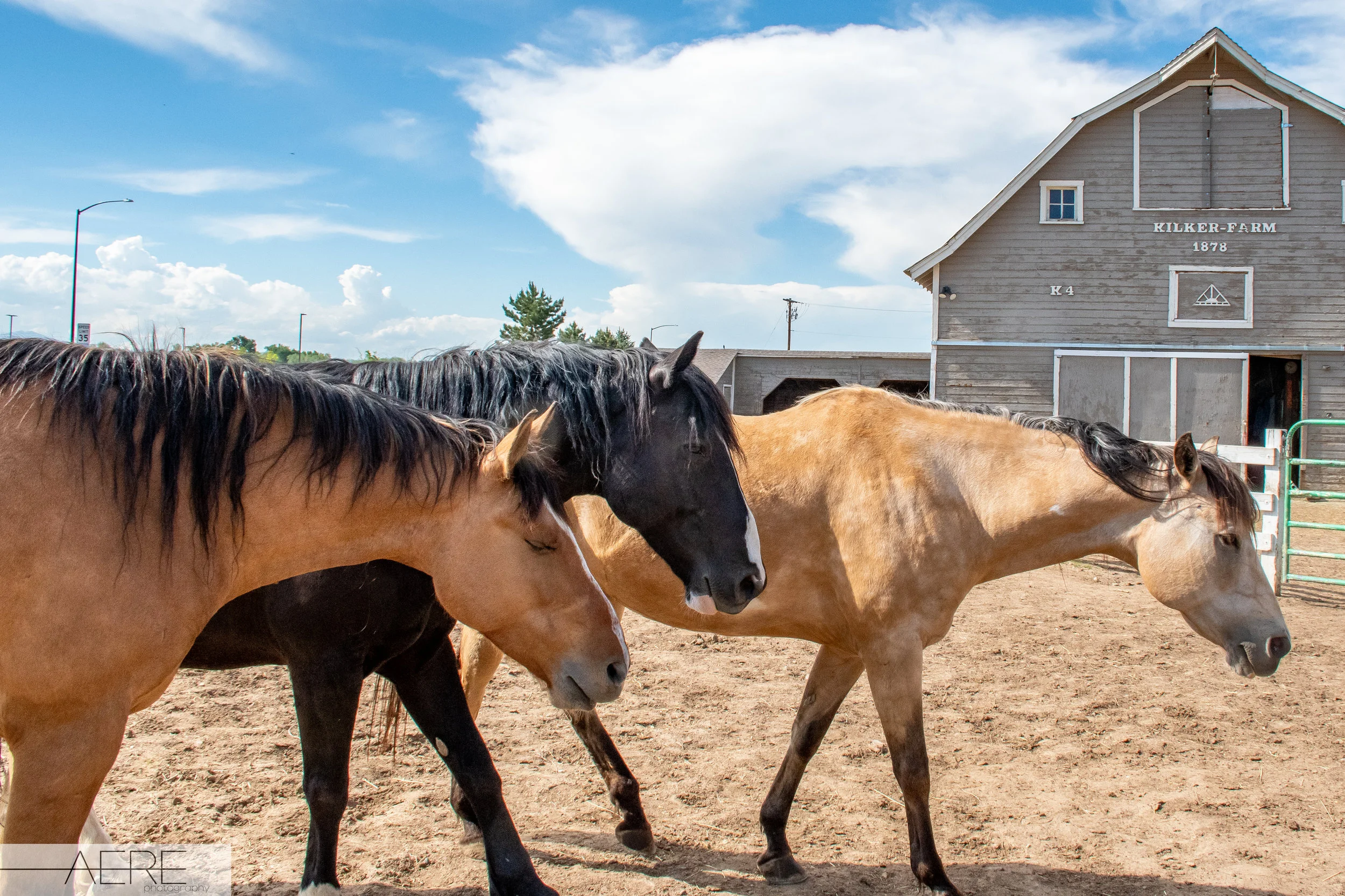 GroundworkRanch_033.jpg