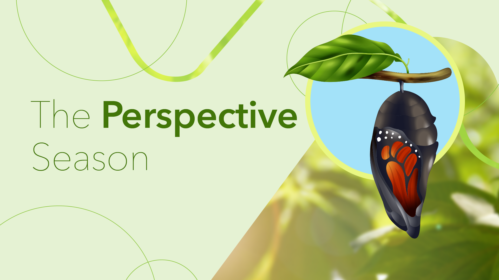 The Big Quit Part IV: The Perspective Season