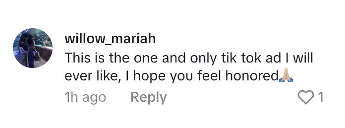 Journeys TikTok Comments_01.PNG