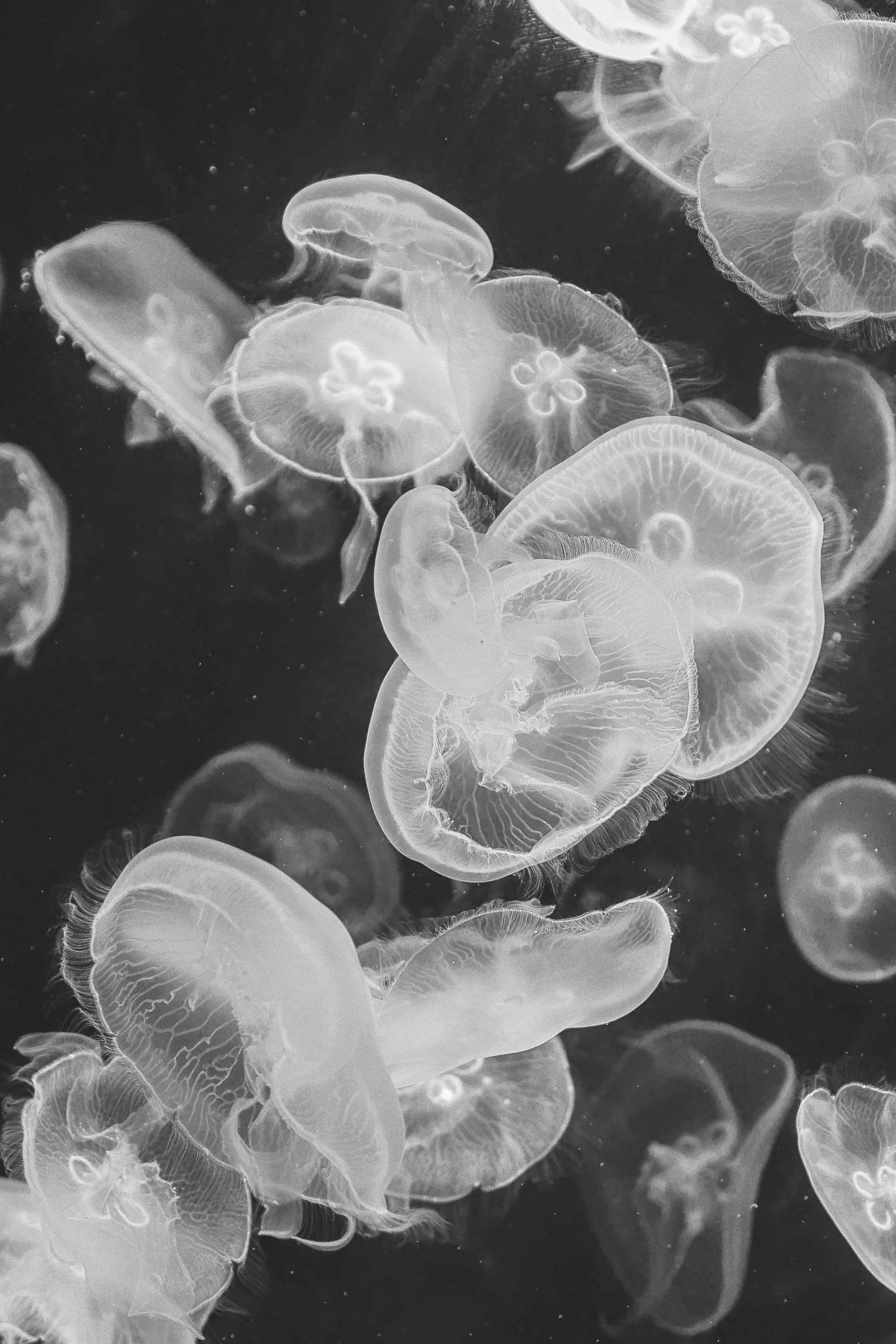 community is the lifeblood of a functioning democratic society