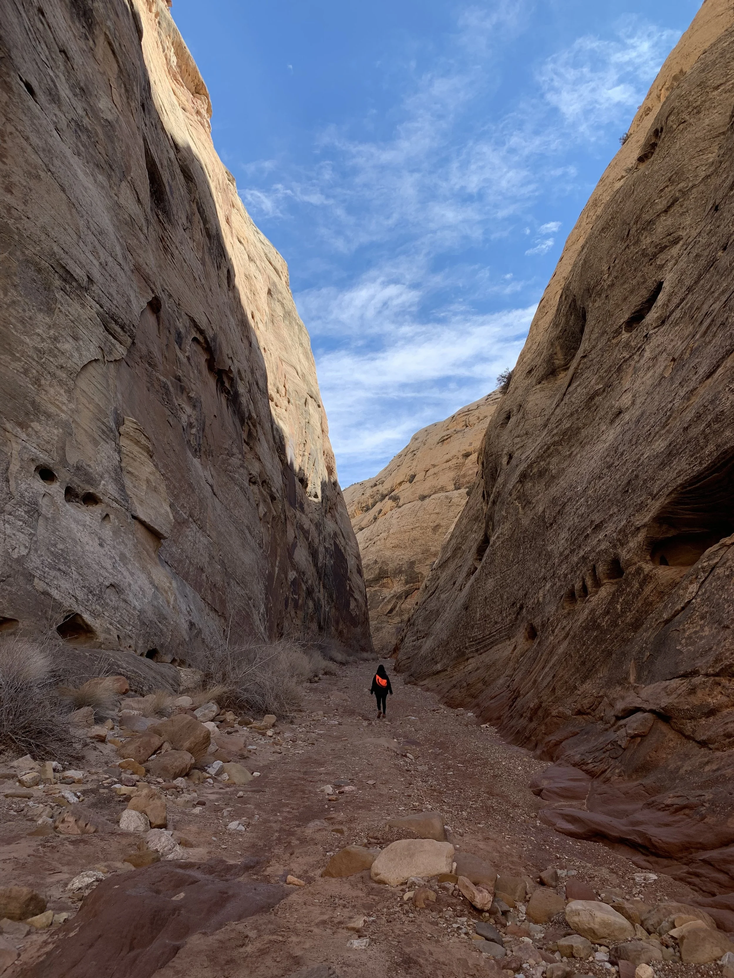 A Travel Advisor's Guide to Industry Terms