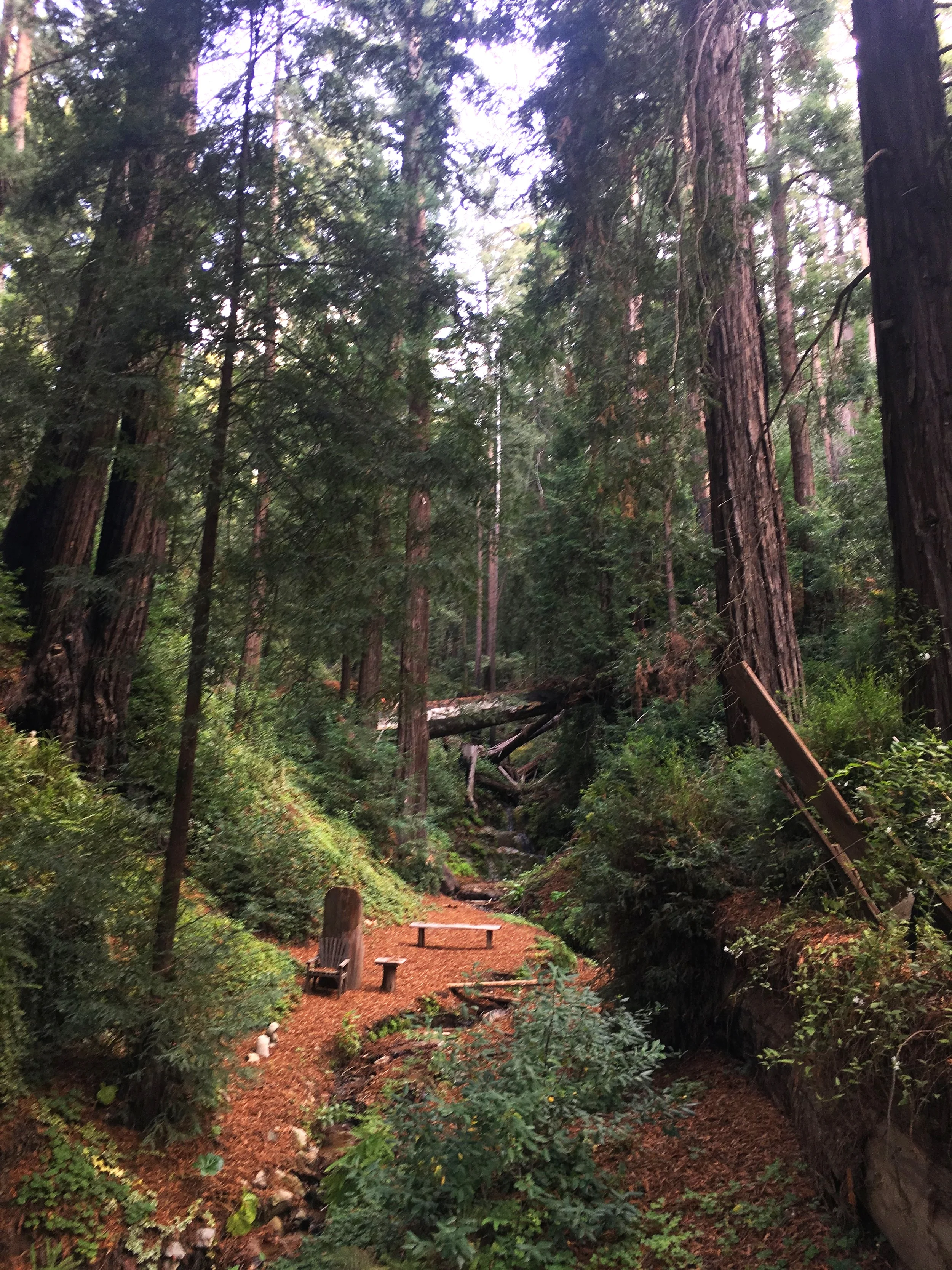 Hotel Review: Deetjen's Big Sur Inn in Big Sur, California