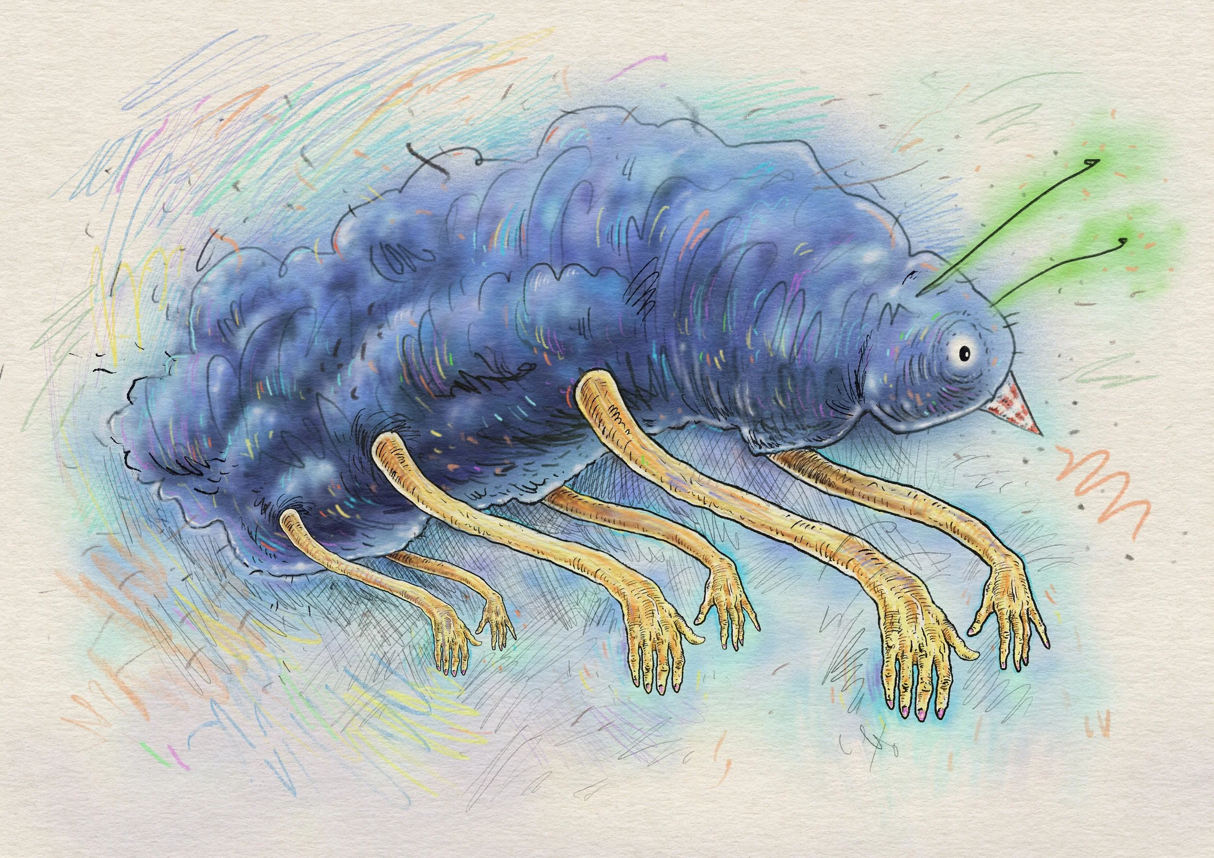 Toothy-Pastel-Board copy 3.jpg