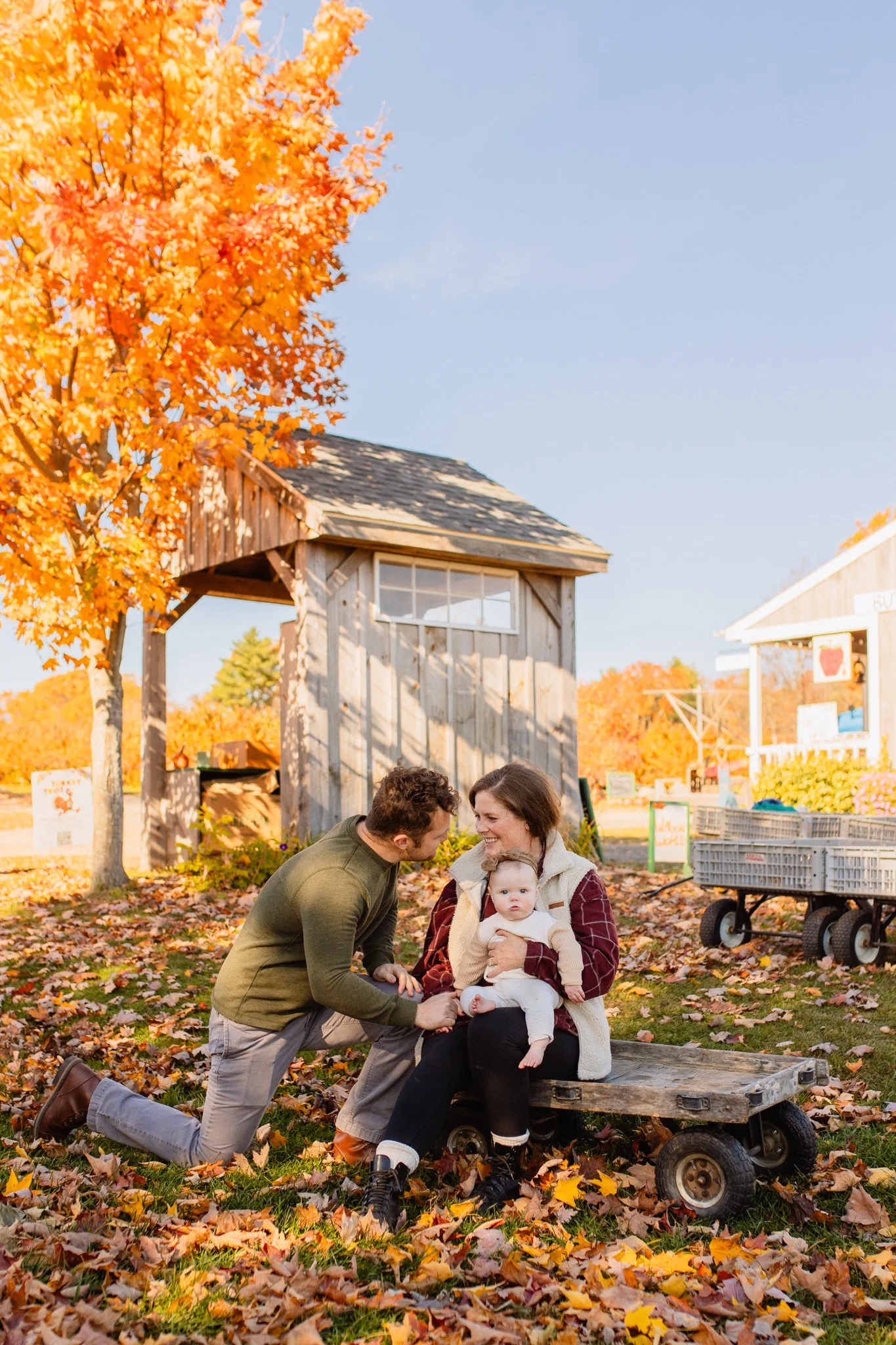 Falling in Love at an Apple Farm