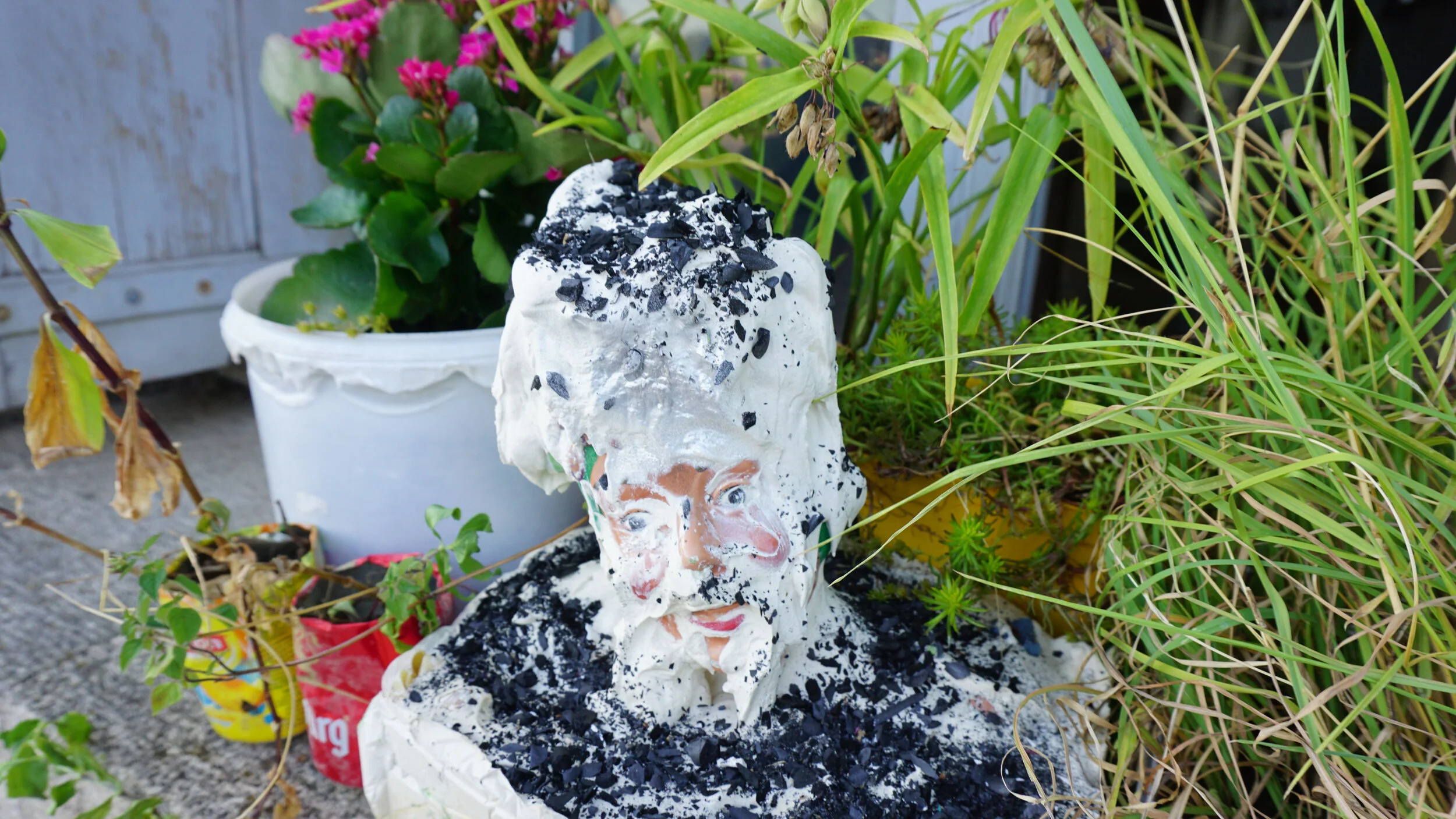 HAZ TIERRA MADAME  OCTROI2016