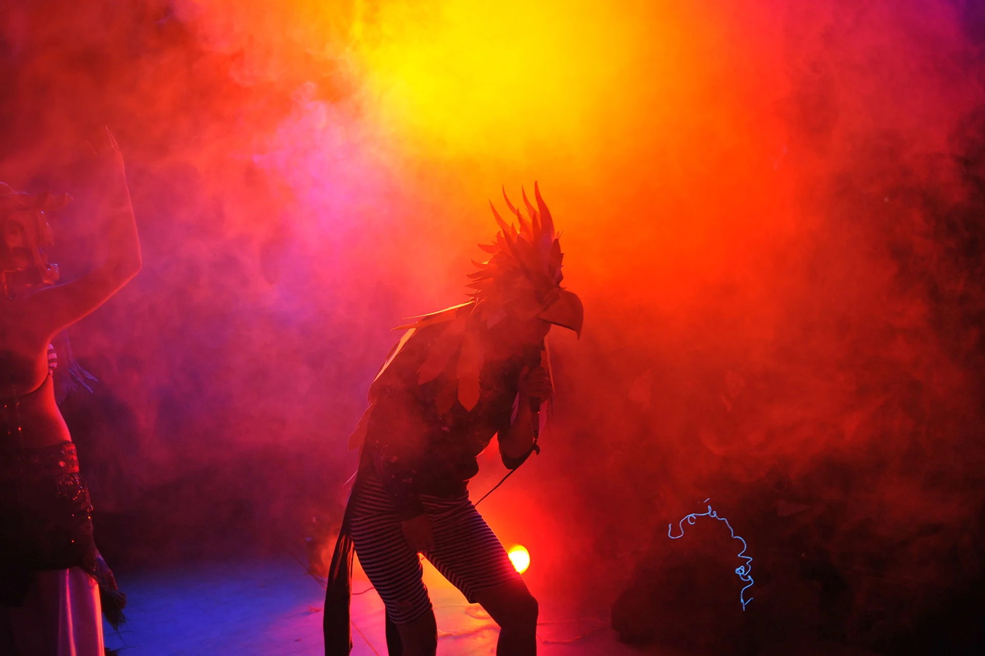 MEOW WOLF: THE ORGIN STORY