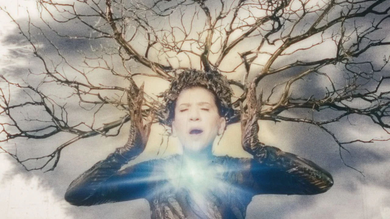 Deadline - Santa Fe International Film Festival 2022 Winners Include ‘Scarborough’, Julian Rubinstein Docu ‘The Holly’