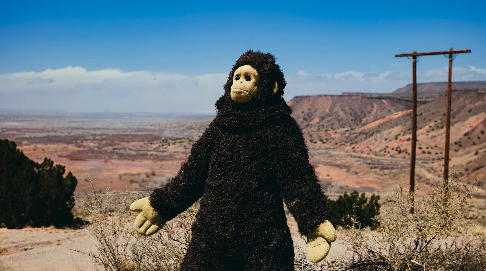 KRQE - Absurdist comedy “Sunlight” premiering at Santa Fe International Film Festival