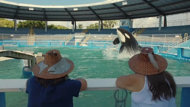 MovieMaker - In Resident Orca, Indigenous Women Fight to Save a Whale They Consider Family