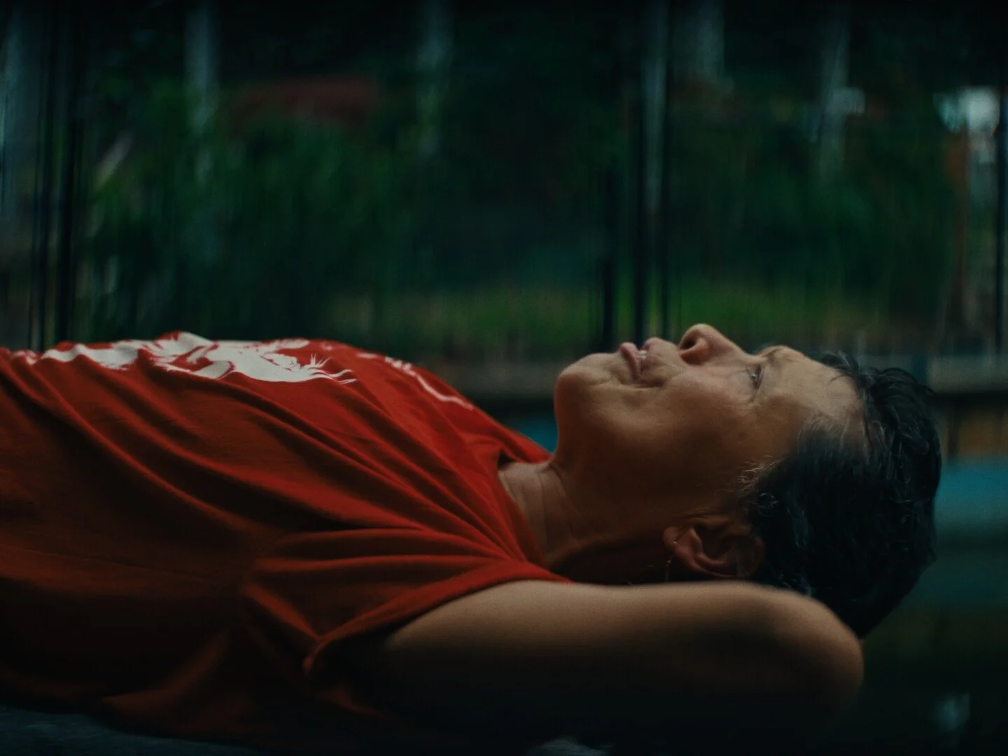 Tiger - Best Indigenous Short Film Jury Award