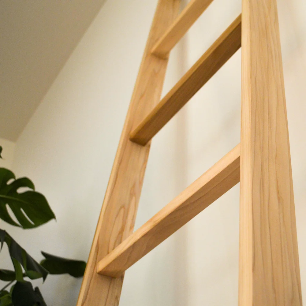 ladder-plant.jpg