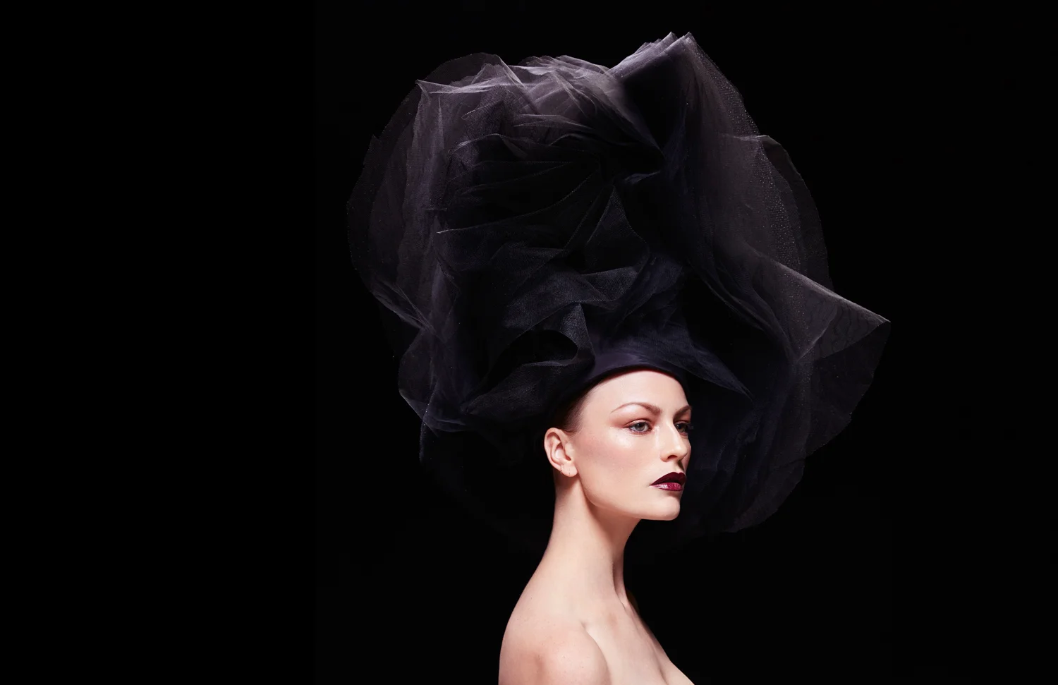 MichaelHigginsPhoto__F3A4548crop.JPG
