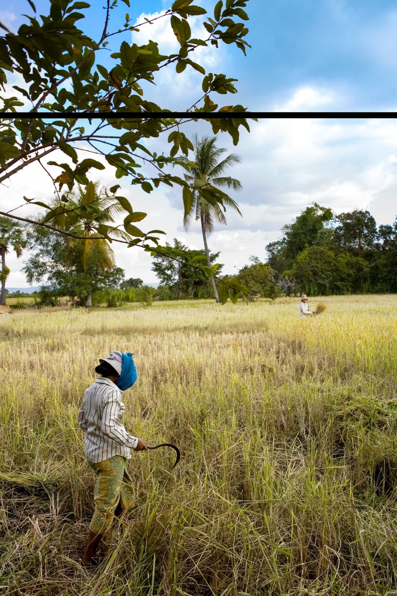 portrait_michaelhigginsphotography_Cambodia-rice fields#6278 retouched.JPG