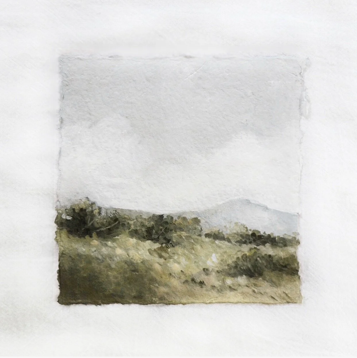 142E2C89-559B-425D-8113-265DB8F66948