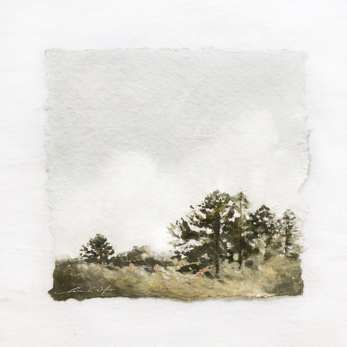 shepherd's meadow iv