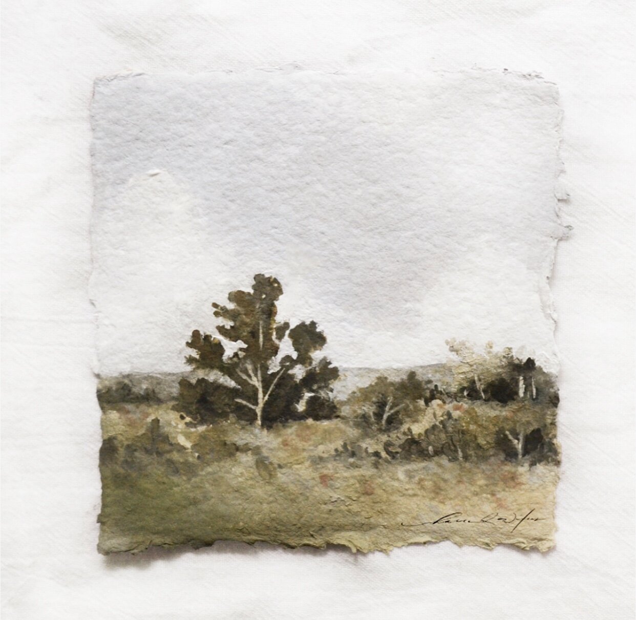 shepherd's meadow vi