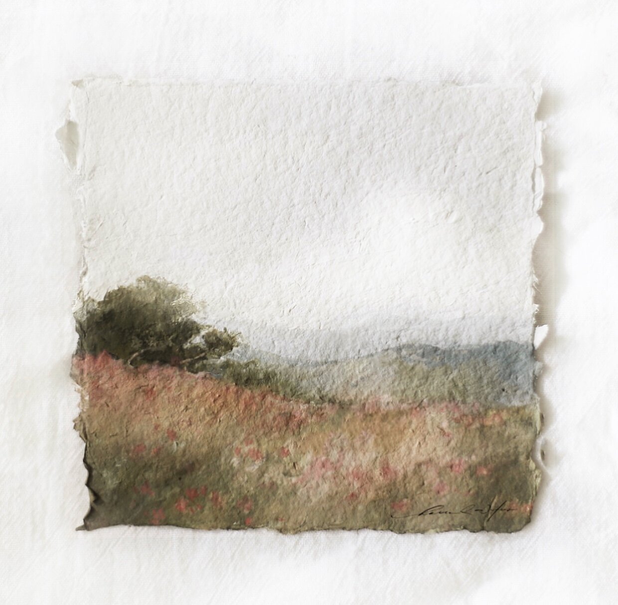 consider the wildflowers i