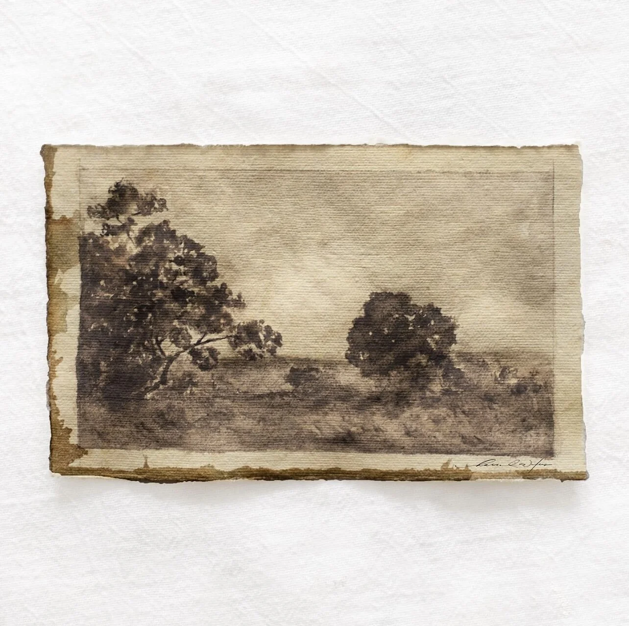 9BA80878-CBF4-468E-8948-4F77D8ADE919