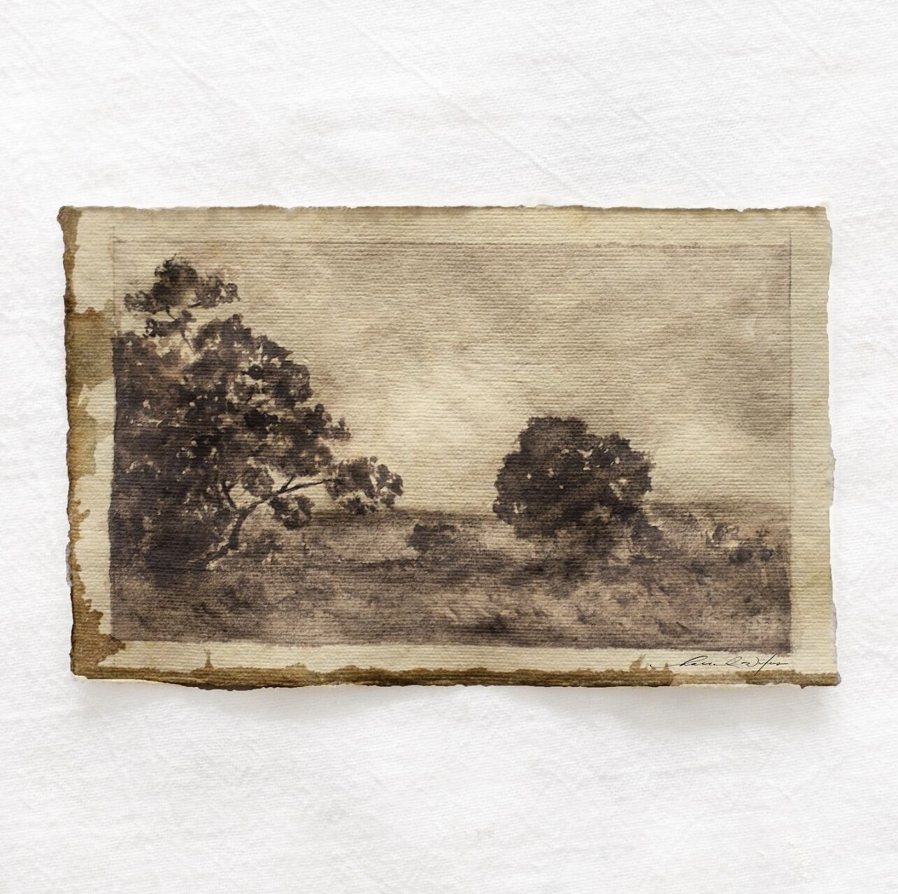 heirloom scape vol ii