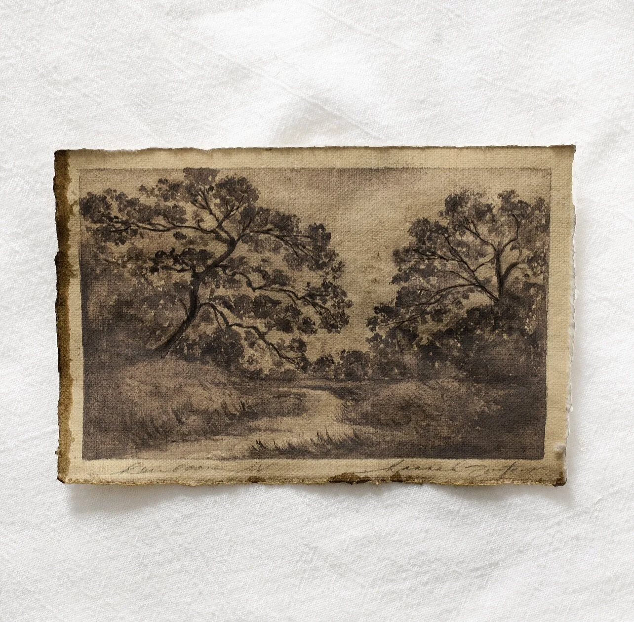 88F32EAE-524F-4D39-9A28-3753CFD4EEF2