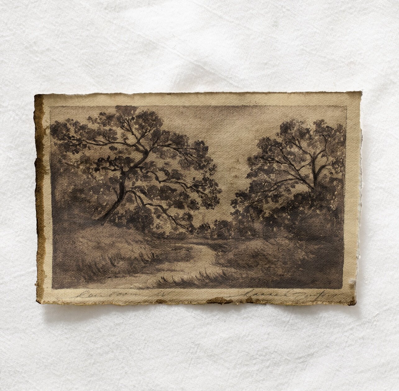 heirloom scape vol iv