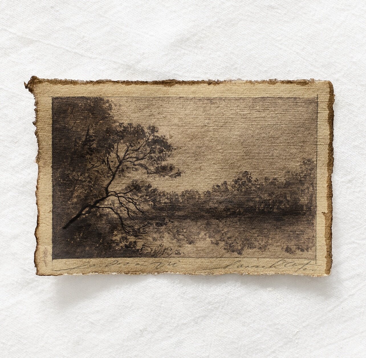 heirloom scape vol vii