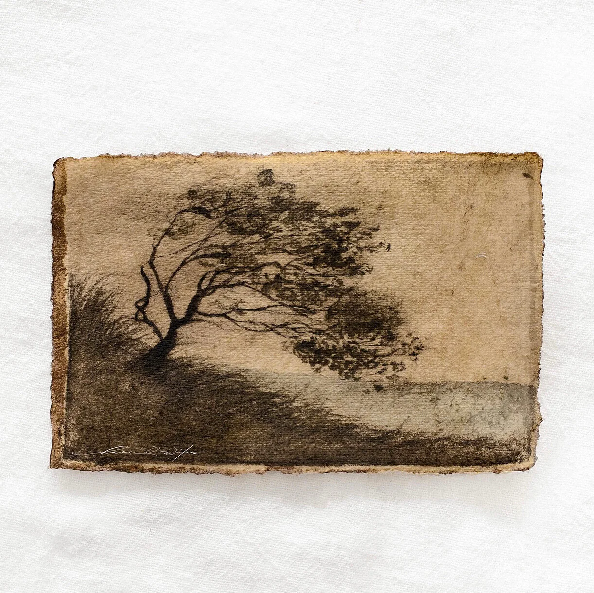 26323F62-013B-4349-8559-C041F1E8AFEE