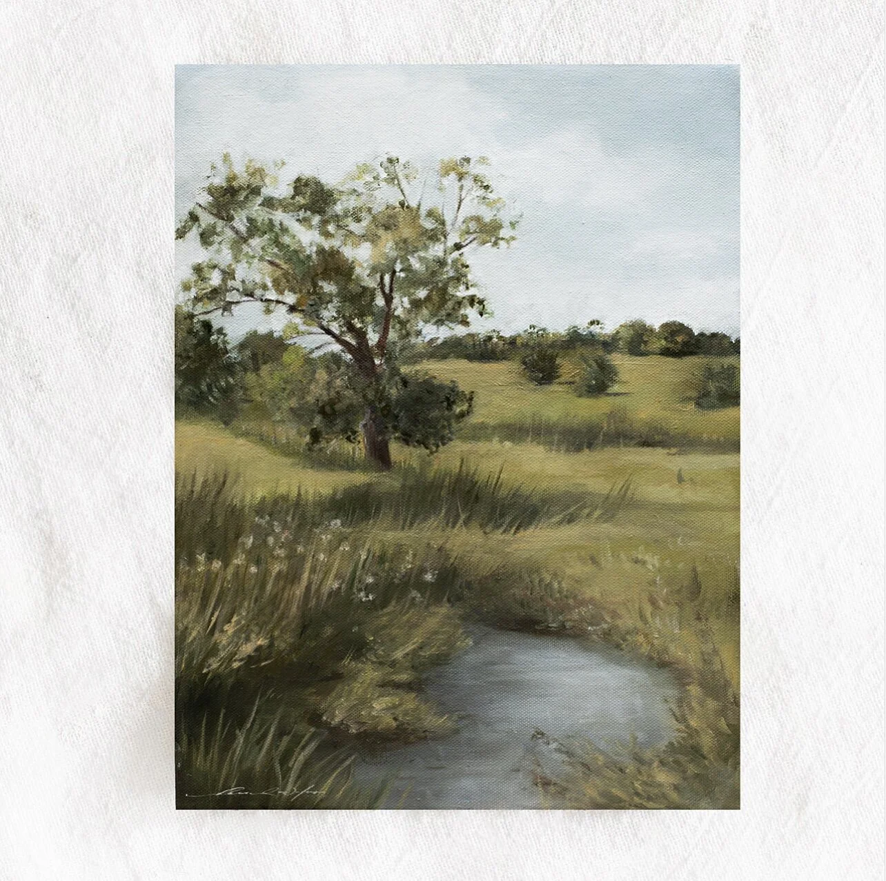 5C369AAF-921C-47A4-BE4A-5BF9315914E5