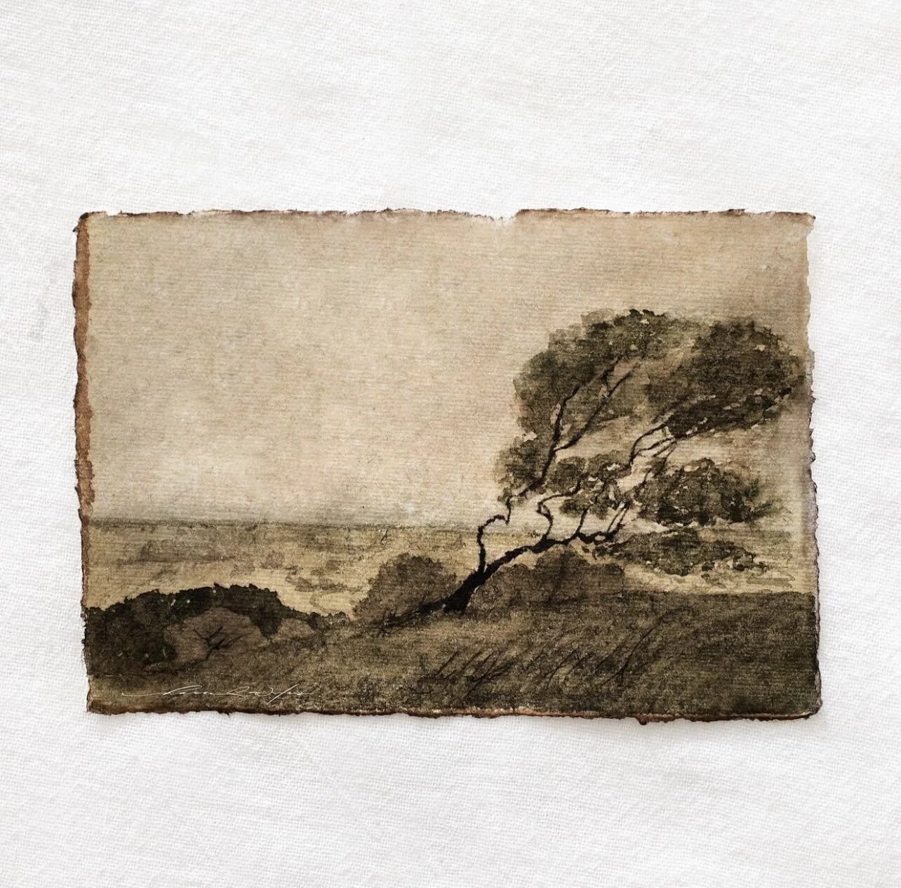 CFFED316-ED47-4375-BDB8-392494BFC878