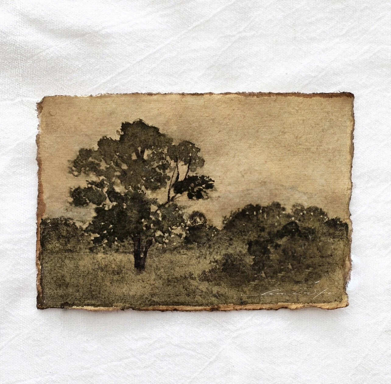 9CBF05A0-933D-41C3-9E0C-4F0F8ABD84D1