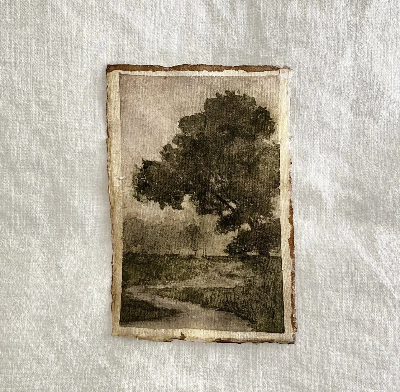 9EDE2AEB-5615-4141-940B-26CCF1B98DEC